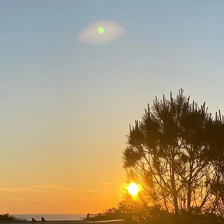 Maisonnette Neuve Climatisee Borne Recharge Ds Parc Arbore A Proximite Ocean Appartement *